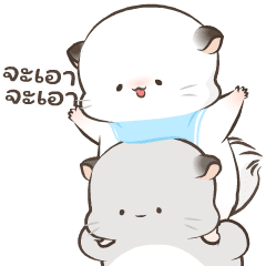 Simao & Bamao ชินชิลลานุ่มนิ่ม 4