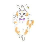 cat- CEO