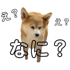 Yuka_20210916135147