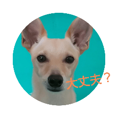 tomomi_20210918184837