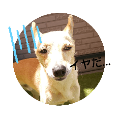 tomomi_20210918150910