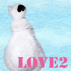 My cat`s name LOVE2.