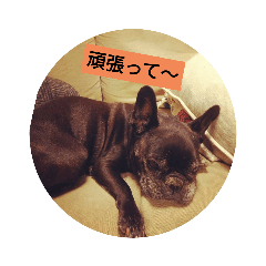 HARUTA_20210912181549