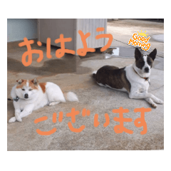 Rina_20210912185813