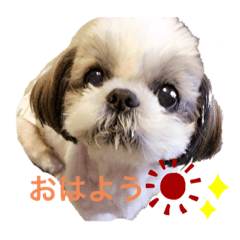 suzu_20210919110225