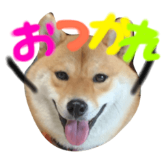 hanagonchan