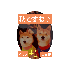 tomomi_20210919115701