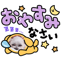 rina_20210912223603