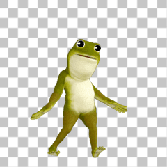 Animated Frog (world)