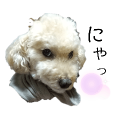 yuka_20210919142333