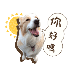 安妮家的成員寵物篇