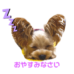 MIKI_20210913082227