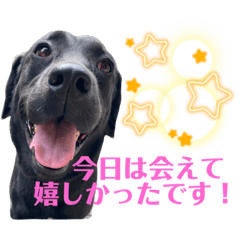 Ringo_20210913123340