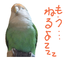 parakeets stamp