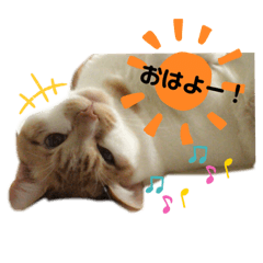 Chie_20210913143444