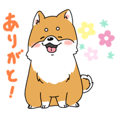 YAMADA_20210913154210