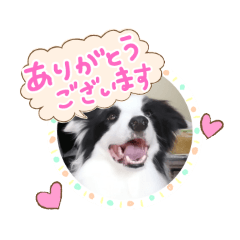 Rina_20210913142201