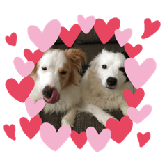 Smile_20210913171032