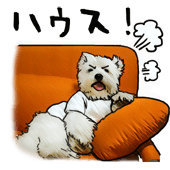 Mochima's dog Sticker
