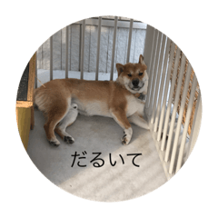 d_20210913213101
