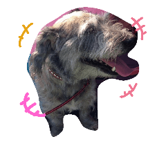 MYDOGLIFE