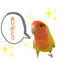 omochi_20210912211148