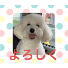 miki_20210919132925