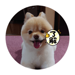 matsu_20210912204204