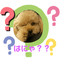 Hikari_20210919183959