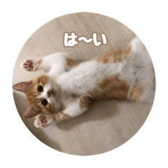 rei_20210919203931