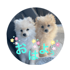 Junko_20210912215653