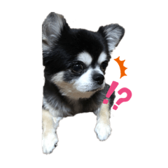 arisa_20210912233523