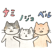 Nami, Bell and Nojiko everyday