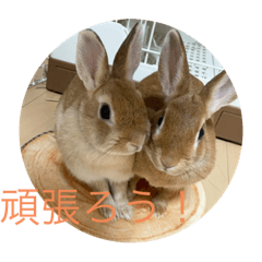 rina_20210920011920