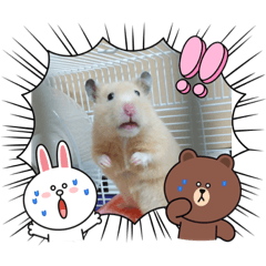 rina_20210913215233
