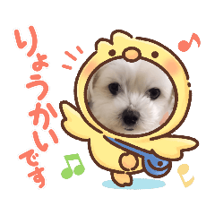 ponzu_20210919152651