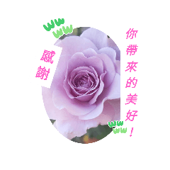 感謝6