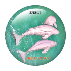 Ocean creature Japan_20210920112617
