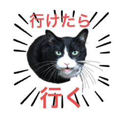 kurosuke_20210920121421
