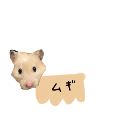 Asuka_20210919212458