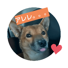 tomomi_20210920120311