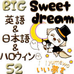 【Big】シーズー52『英語＆日本語』修正