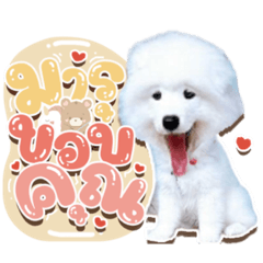 Iamnook_20210920110645