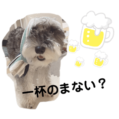 akiko_20210920153034