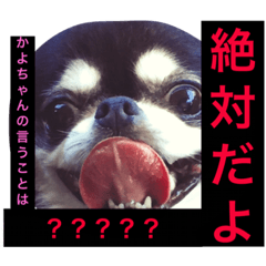 I'm KAYO!!