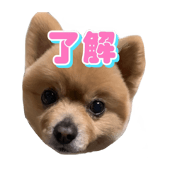 fuwa_0422