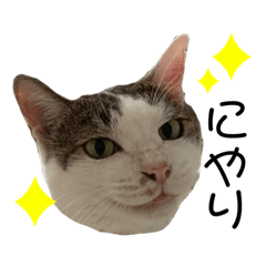 emily_20210914194828