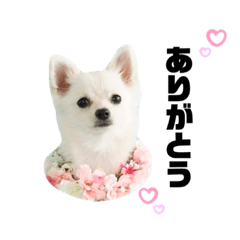 riho_20210920165328