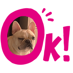 hikari_20210914211852