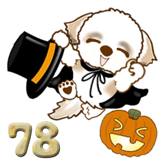 Shih Tzu 78 (Halloween)